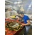 Gương trang điểm cao cấp Phale NAV 2052-NT